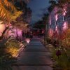 Philips Hue White and Color Ambiance Amarant LED Nero, 1-Luce, Cambia colore