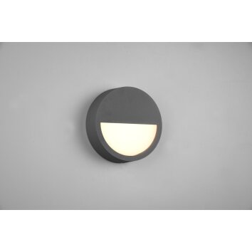 Trio Pedro Applique da esterno LED Antracite, 1-Luce