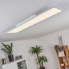 Pau Plafoniera LED Bianco, 1-Luce