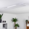 Pau Plafoniera LED Bianco, 1-Luce