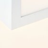 Brilliant Cubix Plafoniera LED Bianco, 1-Luce