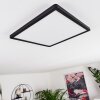 Boyero Plafoniera LED Nero, 1-Luce