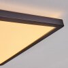 Boyero Plafoniera LED Nero, 1-Luce