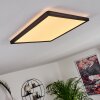 Boyero Plafoniera LED Nero, 1-Luce