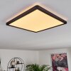 Boyero Plafoniera LED Nero, 1-Luce