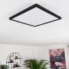 Boyero Plafoniera LED Nero, 1-Luce