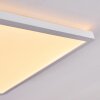 Boyero Plafoniera LED Bianco, 1-Luce