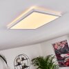 Boyero Plafoniera LED Bianco, 1-Luce