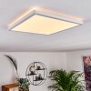 Boyero Plafoniera LED Bianco, 1-Luce