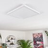 Boyero Plafoniera LED Bianco, 1-Luce