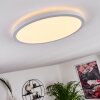 Boyero Plafoniera LED Bianco, 1-Luce