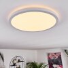 Boyero Plafoniera LED Bianco, 1-Luce