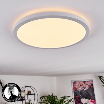 Boyero Plafoniera LED Bianco, 1-Luce