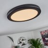 Canditas Plafoniera LED Nero, 1-Luce