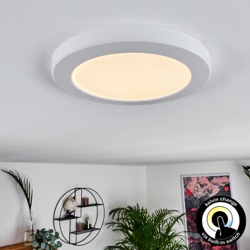 Canditas Plafoniera LED Bianco, 1-Luce