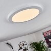 Canditas Plafoniera LED Bianco, 1-Luce