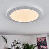 Canditas Plafoniera LED Bianco, 1-Luce