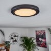Canditas Plafoniera LED Nero, 1-Luce