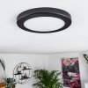 Canditas Plafoniera LED Nero, 1-Luce