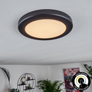 Canditas Plafoniera LED Nero, 1-Luce