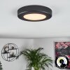 Canditas Plafoniera LED Nero, 1-Luce