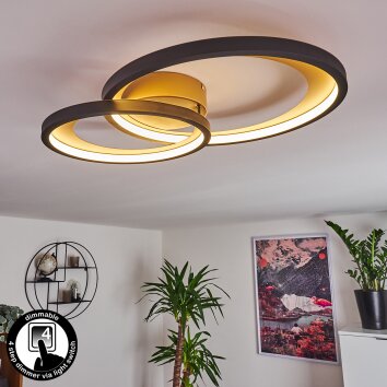 Baiyin Plafoniera LED Oro, 1-Luce