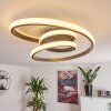 Ignal Plafoniera LED Grigio, 1-Luce