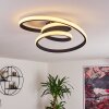 Ignal Plafoniera LED Nero, 1-Luce