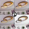 Tuzik Plafoniera LED Oro, Nero, 1-Luce