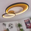 Tuzik Plafoniera LED Oro, Nero, 1-Luce