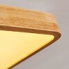 Batamoto Plafoniera LED Legno chiaro, Bianco, 2-Luci, Telecomando, Cambia colore