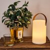 Tacuala Lampada da tavolo LED Marrone, Bianco, 1-Luce, Cambia colore