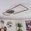 Moya Plafoniera LED Nero, 1-Luce