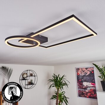 Moya Plafoniera LED Nero, 1-Luce