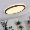 Boyero Plafoniera LED Nero, 1-Luce