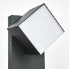 Swanek Lampioncino Segnapasso LED Antracite, 1-Luce