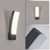 Maseru Applique da esterno LED Antracite, 1-Luce