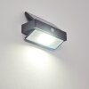 Wiborg Applique da esterno LED Antracite, 1-Luce, Sensori di movimento