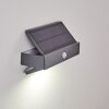 Wiborg Applique da esterno LED Antracite, 1-Luce, Sensori di movimento Wiborg Applique da esterno LED Antracite, 1-Luce, Sensori di movimento