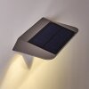 Lampada solare Camden LED Grigio, 1-Luce, Sensori di movimento