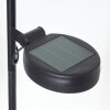 Rovinj Lampada solare LED Ramato, Nero, 1-Luce