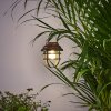 Hangzhou Lampada solare LED Ruggine, Trasparente, chiaro, 1-Luce