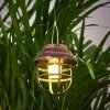 Hangzhou Lampada solare LED Ruggine, Trasparente, chiaro, 1-Luce