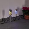Gorizia Lampada solare LED Acciaio inox, 2-Luci, Cambia colore