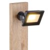 Globo JOYA Lampada da tavolo LED Legno chiaro, Nero, 1-Luce