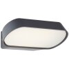 Brillliant Samira Applique da esterno LED Nero, 1-Luce