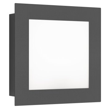 LCD 3007LED Applique da esterno Nero, 1-Luce