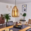 Alvares Lampadario a sospensione Bronzo, 1-Luce