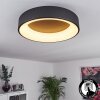 Pine Plafoniera LED Nero, 1-Luce