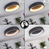 Pine Plafoniera LED Nero, 1-Luce